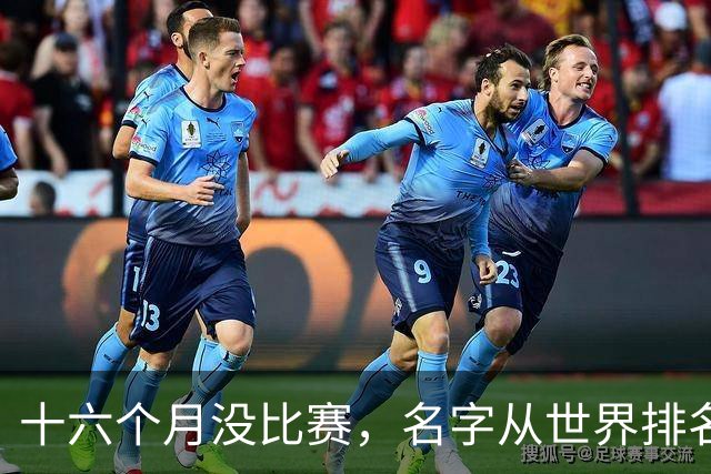 十六个月没比赛，名字从世界排名上消失：19岁的全红婵，还能自己走回去吗？