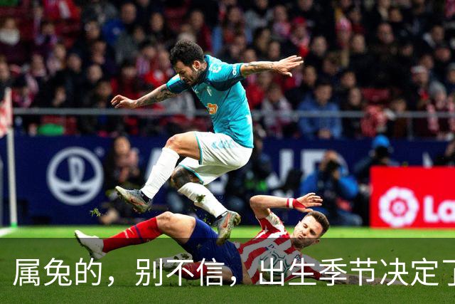 属兔的，别不信，出生季节决定了你是“伺候人”还是“被人伺候”